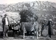 Foto Arquivo Gr&aacute;fico